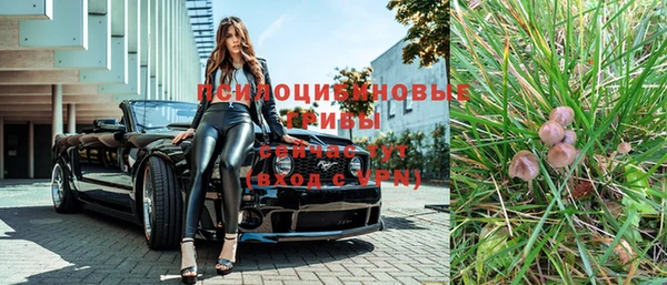 ГАЛЛЮЦИНОГЕННЫЕ ГРИБЫ Дмитров